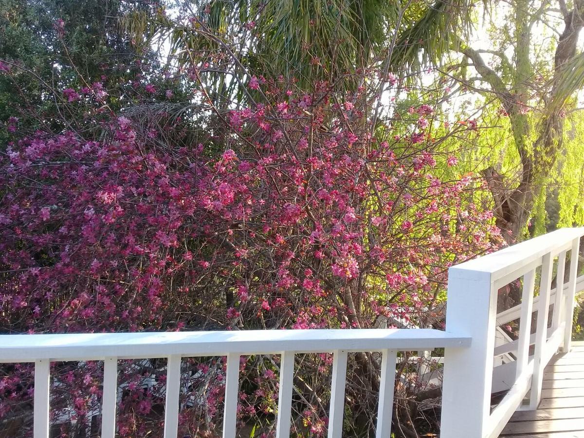 Aquaelberg Place Swellendam Εξωτερικό φωτογραφία
