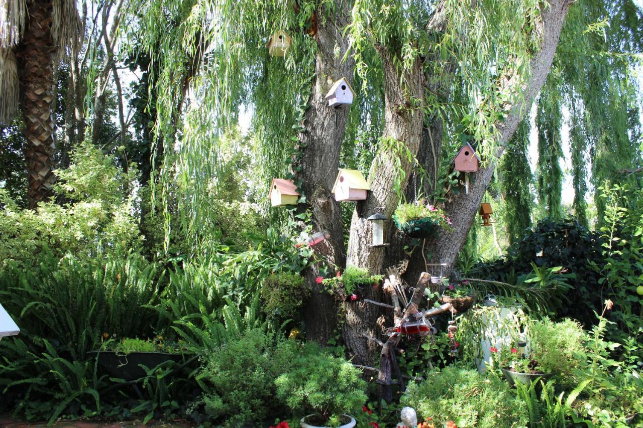 Aquaelberg Place Swellendam Εξωτερικό φωτογραφία